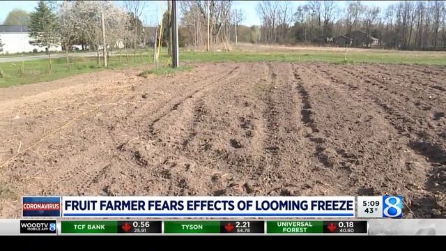 Fruit farmer fears effects of looming freeze смотреть онлайн