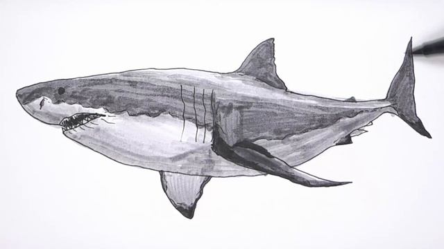 How to Draw Great White Shark Monster from the Sea - Drawing Lesson for Kids смотреть онлайн