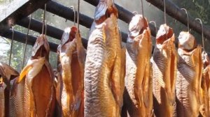 Копчение мяса, рыбы и сала как бизнес идея