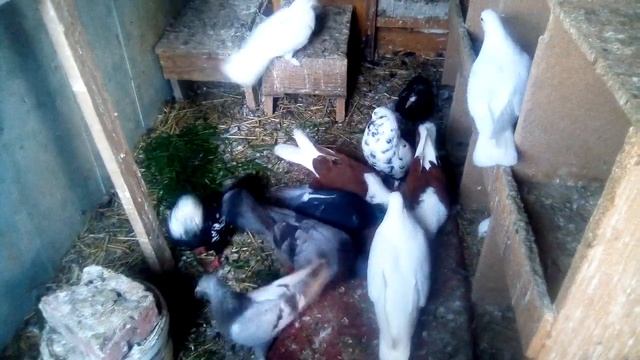 Вечер, ужин дома перед сном. смотреть онлайн