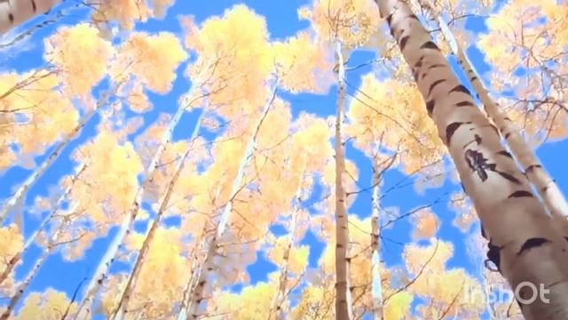 Осень листопад смотреть онлайн