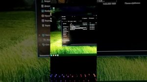 ЧТО ДЕЛАТЬ ЕСЛИ НЕ ЗАПУСКАЕТСЯ РАДМИР?