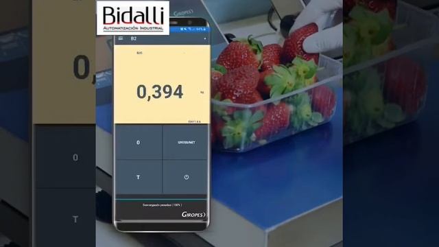 Software GIApp para supervisar sus basculas & balanzas a través de WIFI смотреть онлайн