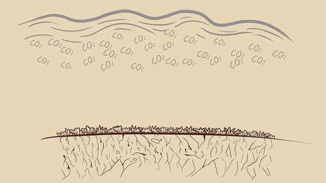 ¡Juntos podemos enfriar el planeta! смотреть онлайн