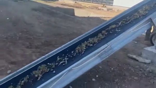 Транспортеры пометоудаления - Automated Manure Removal System #removalsystemfarm #removalsystemcag