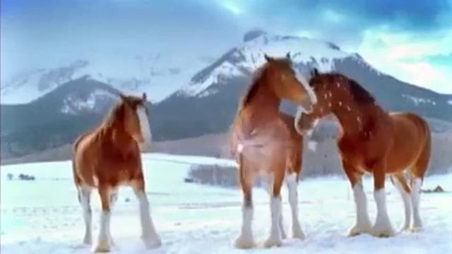 Лошади как люди смотреть онлайн