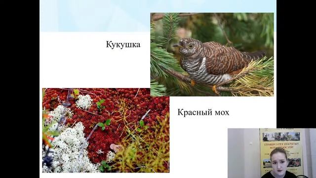 23.11.2020 14:00 3К Литературное чтение смотреть онлайн