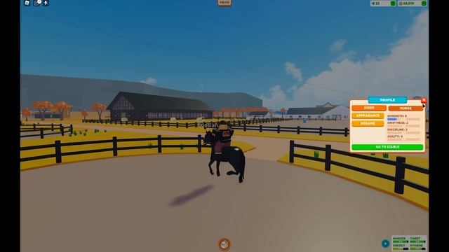 HOW TO WIN RACES & LEVEL UP the BEST HORSE in HORSE VALLEY ROBLOX смотреть онлайн