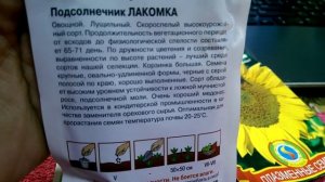 Проращивание туговсхожих семян (арбузы, кабачки, тыква, кукуруза и т.д) на туалетной бумаге.