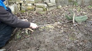 Как сделать ловушку подъёмную сеть на птиц.