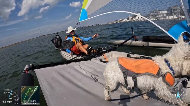 Fast Sail to Corsons Inlet and the Atlantic Ocean with a 1 year old pup on a Hobie Tandem Island смотреть онлайн
