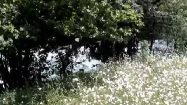 Горные реки Абхазии.avi смотреть онлайн