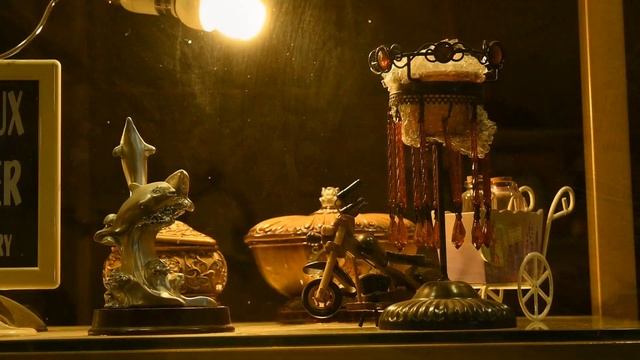 Nikon Z50 Video Test Shots | Nikon Lens 16-50mm | Urdu/Hindi | Hashmi Photos