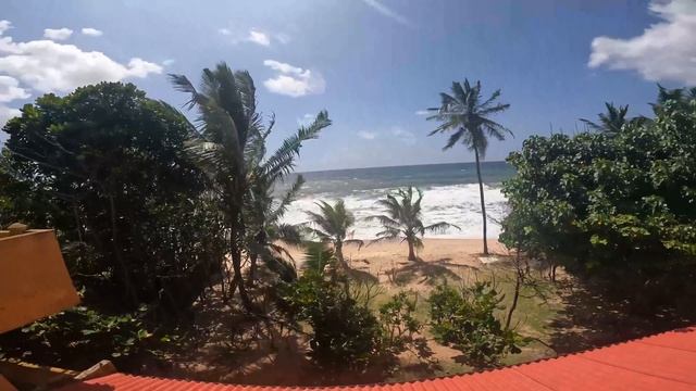 Обзор виллы за 1500$ на ШРИ-ЛАНКЕ возле ОКЕАНА смотреть онлайн