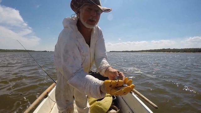 Супер Сом " ГИГАНТ" на квок с глубины!!! 2020 год. Волга смотреть онлайн