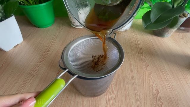 ?100 times stronger than other fertilizers when you use this any plant ?| Natural Fertilizer смотреть онлайн