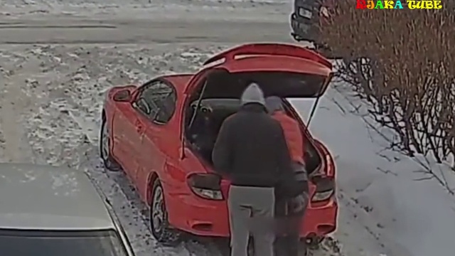 ПРИКОЛЫ с людьми и животными. Смешная нарезка. #2 смотреть онлайн