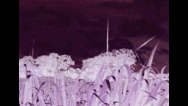 Mobilize - Continuum