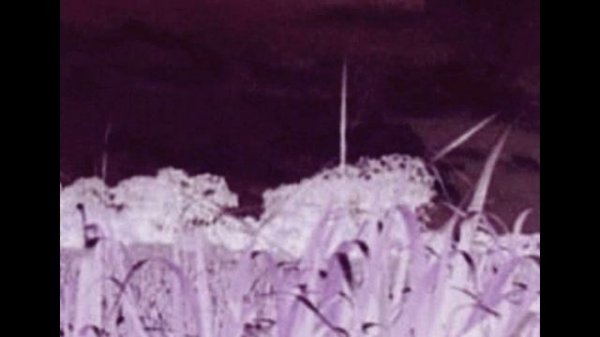 Mobilize - Continuum