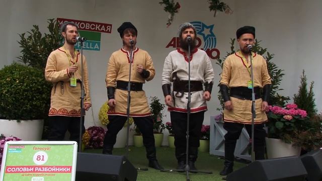 81 Соловьи разбойники смотреть онлайн