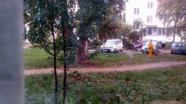 Покемон ПИКАЧУ во дворе выгуливает собаку! смотреть онлайн