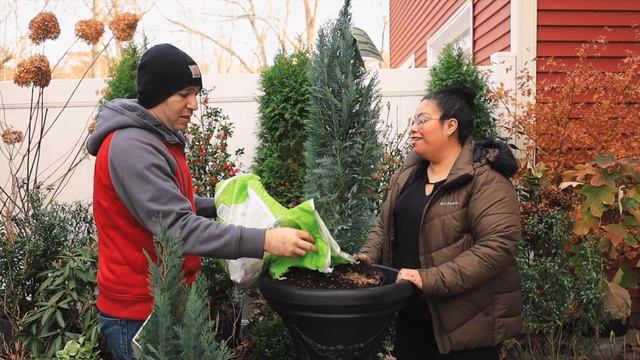 Planting Evergreens In Containers // Pinpoint Blue False Cypress // Garden Obsessions смотреть онлайн