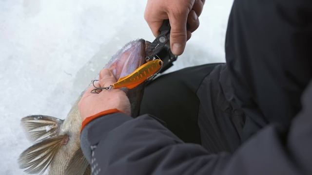 СУДАКИ НЕ ЛЕЗУТ В ЛУНКУ! Зимняя рыбалка на Рыбинке, ловля на вибы Madness. ТРОФЕЙНАЯ РЫБАЛКА! 4K смотреть онлайн