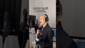 SHAMAN между мной и тобой