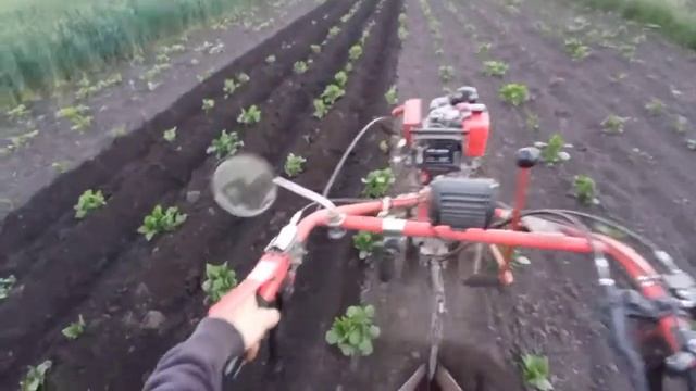 Первая окучка картошки :) смотреть онлайн