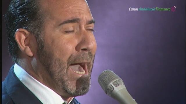 Soleá. Callejón del Picaor. Alfredo Tejada. 2018 смотреть онлайн