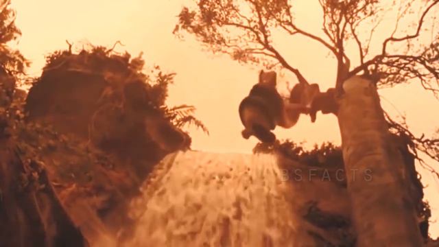 Live Snake Enter House | This Man Woke Up Inside The Snake | Bs facts смотреть онлайн