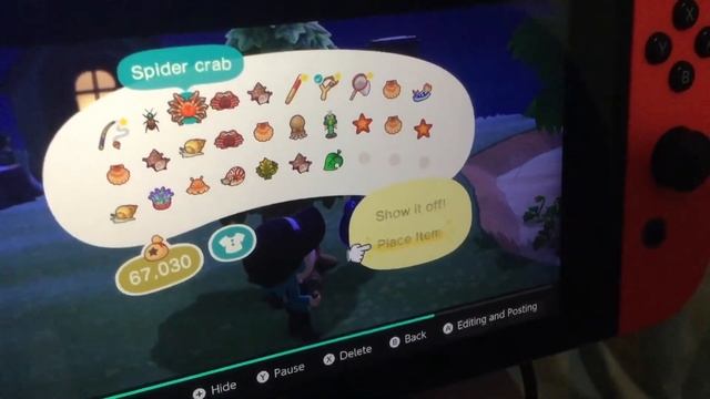 Spider crab | animal crossing new horizon смотреть онлайн