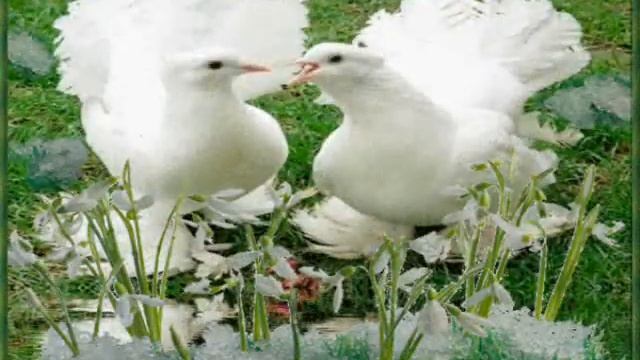 Мелодия для души Весеннее настроение смотреть онлайн