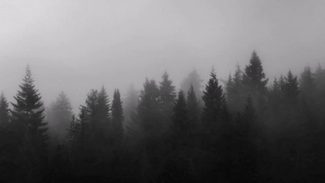 Kaleo -  Way Down We Go [Subtitulada]