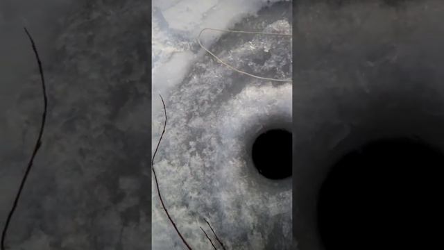 ловля раков -часть 2 смотреть онлайн