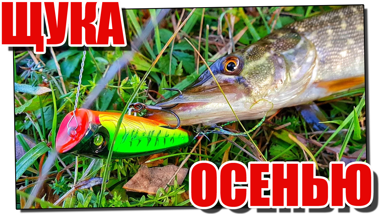 Рыбалка на щуку в середине осени! смотреть онлайн