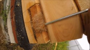 Первые венцы коробки дома из профилированного бруса