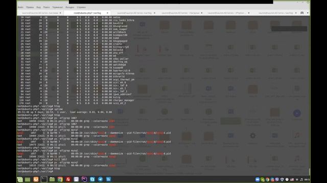 Линукс Htop.Процессы.