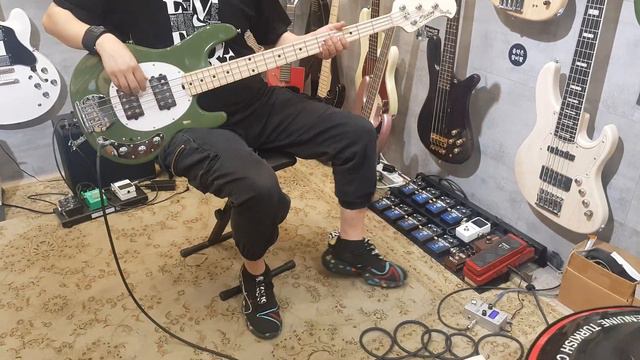 낙원상가 Sterling By Musicman Sub Ray4 HH 4string Bass 리뷰 및 시연 스털링 바이 뮤직맨 레이4