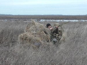 Весенняя охота на селезня с подсадной уткой. Тест самодельного скрадка. Drake hunting with a decoy.