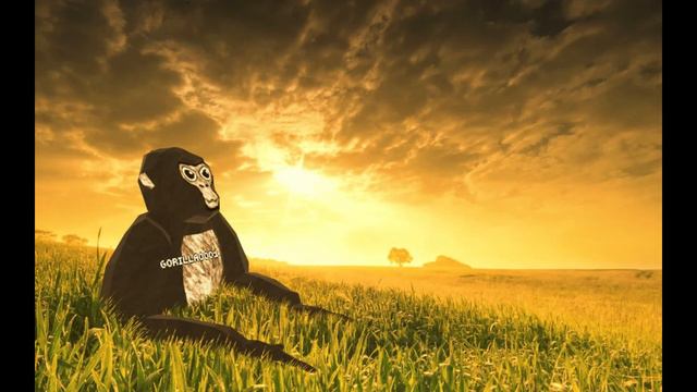 Monke Has No Enemies. смотреть онлайн