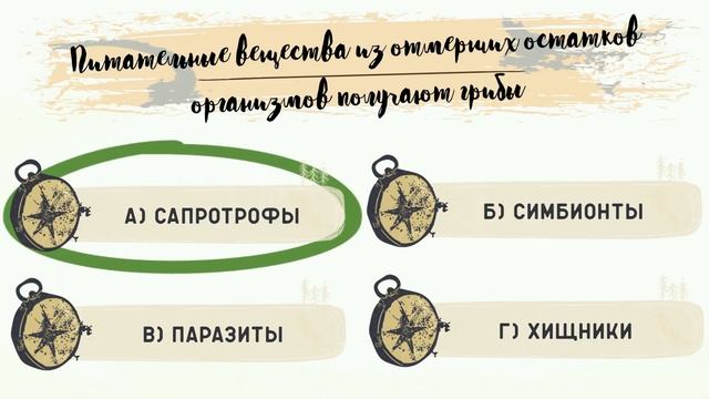 ?ТЕСТ: КРУТОЙ ЛИ ТЫ ГРИБНИК?!? смотреть онлайн