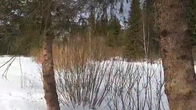 Мототолкач БТС смотреть онлайн