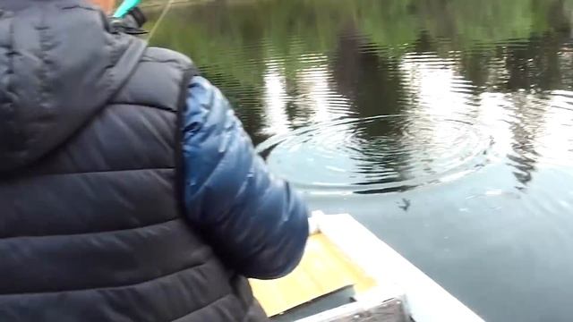 Отец удачно съездил на рыбалку. Вот это улов!