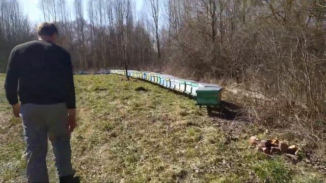 Подводим итоги эксперимента по охлаждению гнезда смотреть онлайн