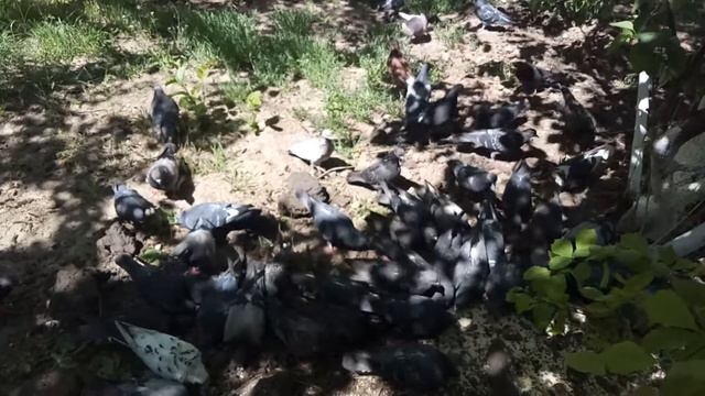 упайи Сатурна смотреть онлайн