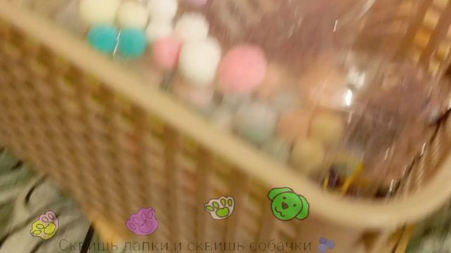 вложик🫐🐾🐶