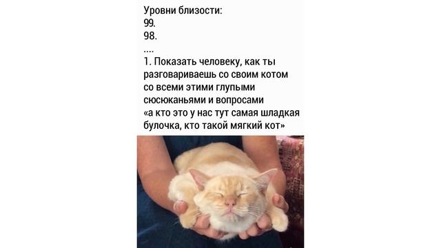 КУКУСИКИ) Испугался?) Приколы с котами | Мемозг #486 смотреть онлайн