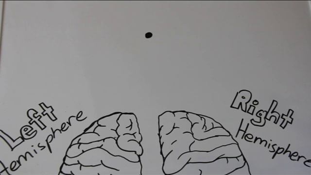 Roger Sperry's Split Brain Experiment смотреть онлайн