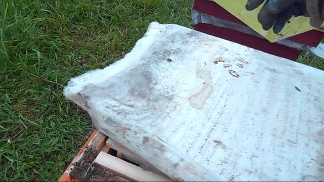 Попался первый рой рой голодный смотреть онлайн